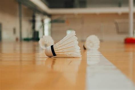TOP 10 BEST Badminton in Las Vegas, NV .